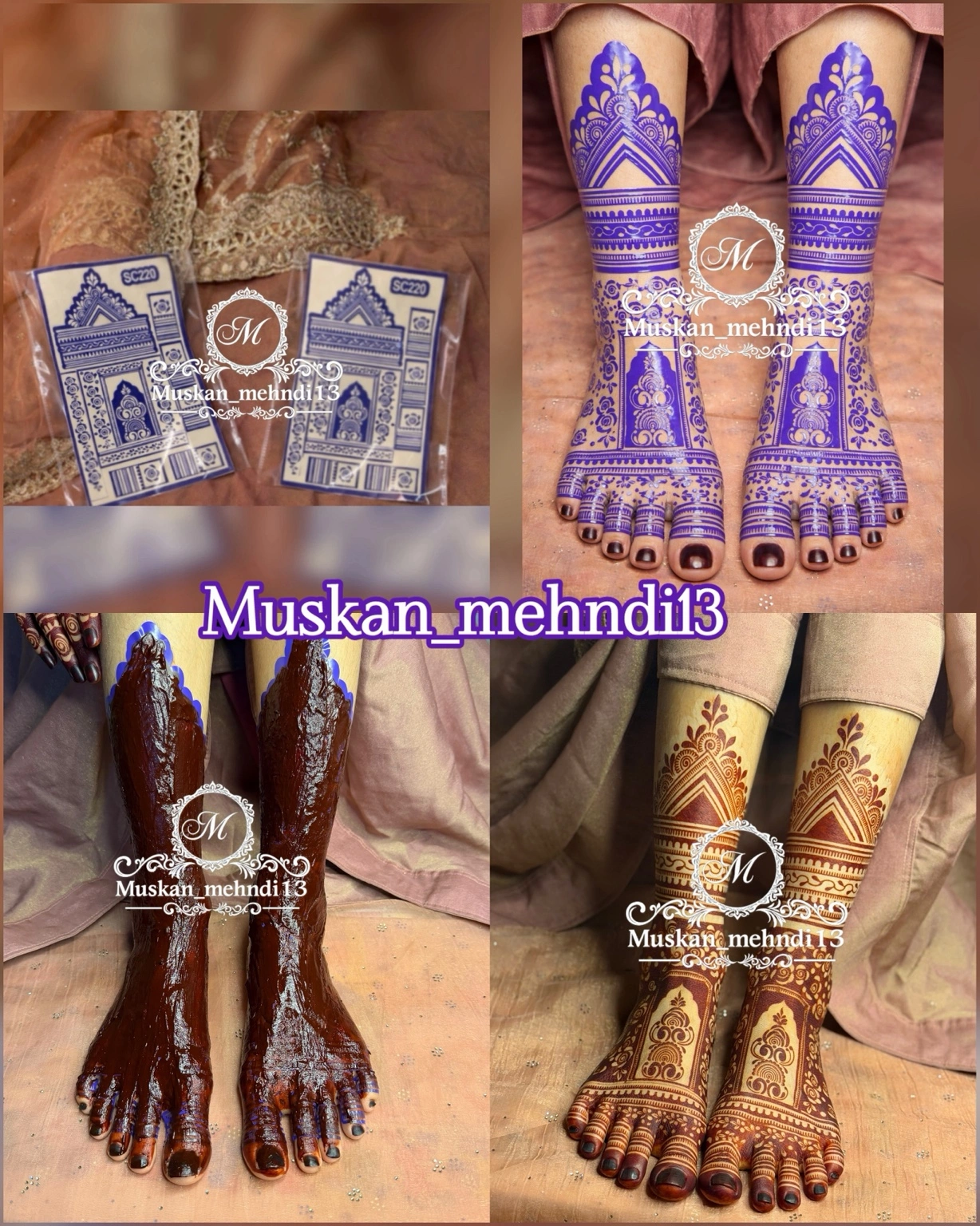 Full bridal set (sc220,220,DL8) - Image 2