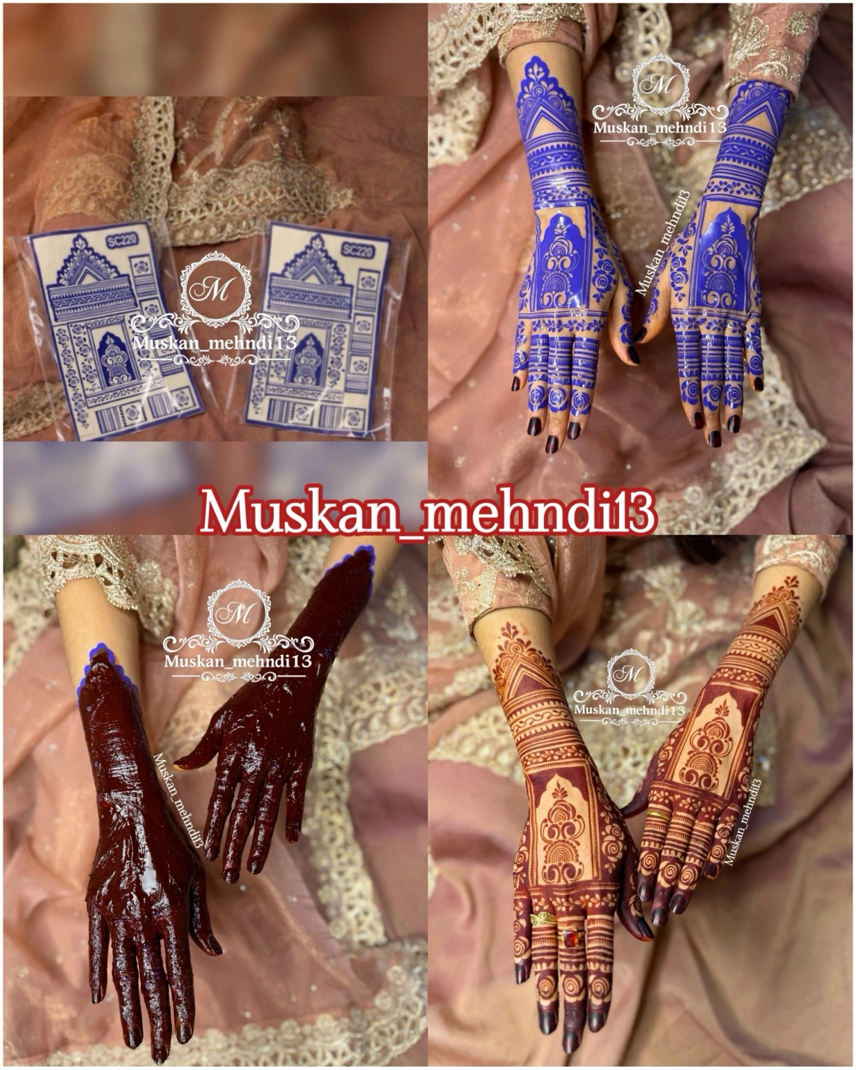 Full bridal set (sc220,220,DL8) - Image 3